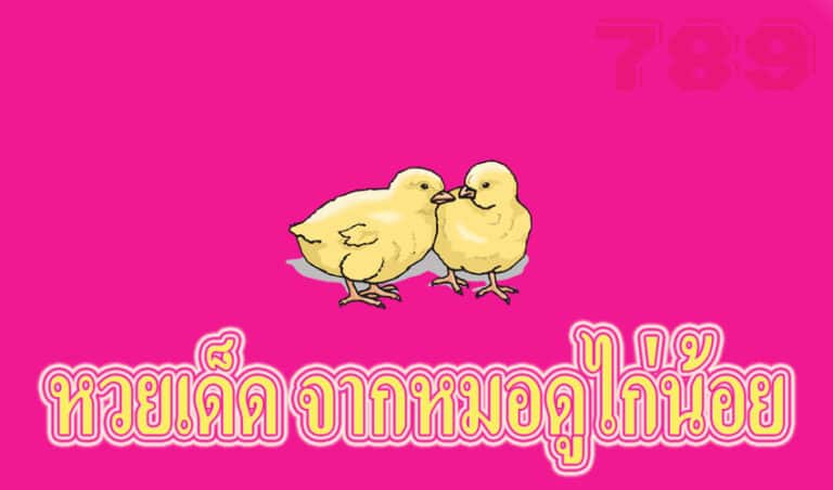 หวยเด็ด ไก่น้อย