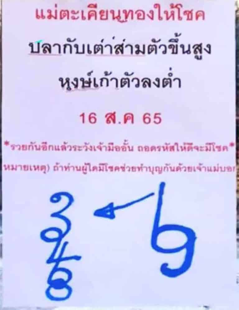 หวยเด็ด หวยแม่ตะเคียนทองให้โชค16/8/65