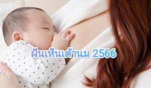 ฝันเห็นเต้านม 2566