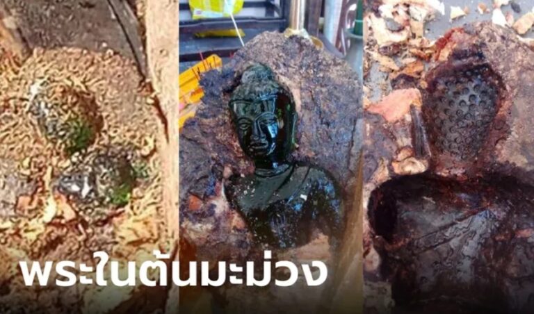 ข่าวพระแก้วมรกต 1-11-66