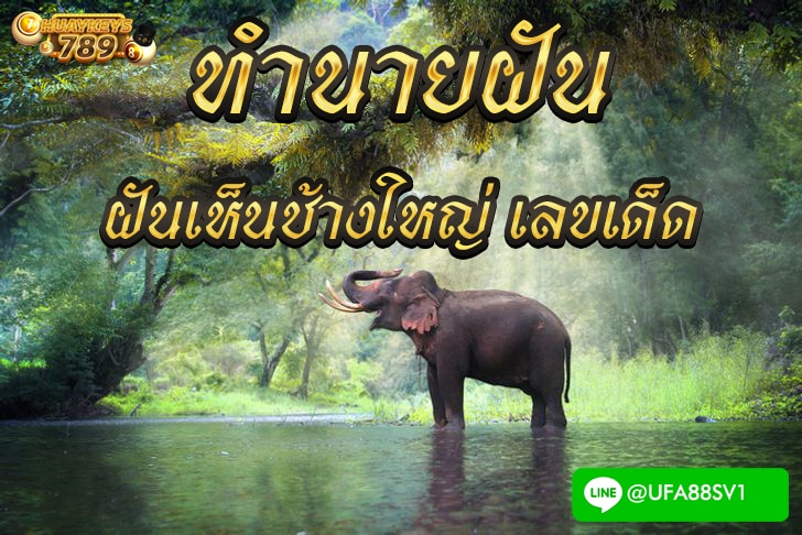 ฝันเห็นช้างใหญ่ เลขเด็ด